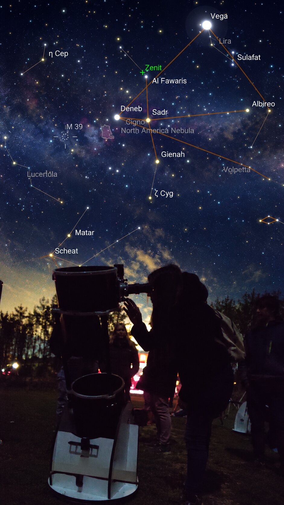 Osservazione del cielo con telescopio durante una serata astronomica Freemodels